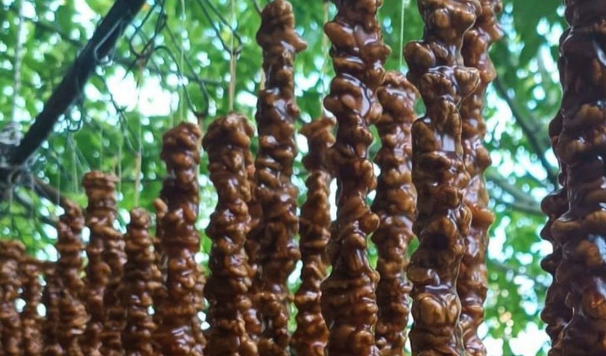 Kedi Bacağı 3