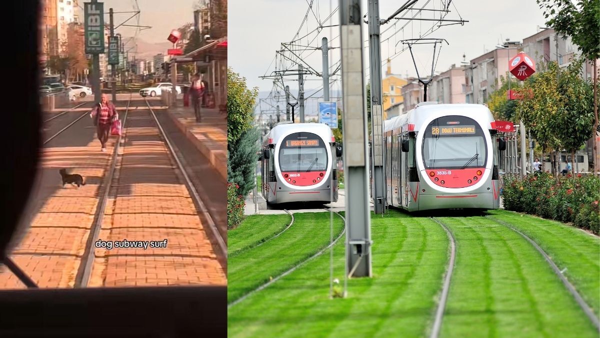 Kayseri'de Tramvay Kovalamacası (4)