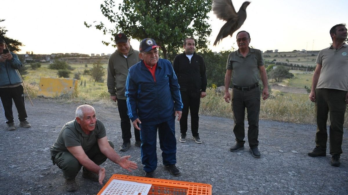 Kene Doğaya Salındı (1)