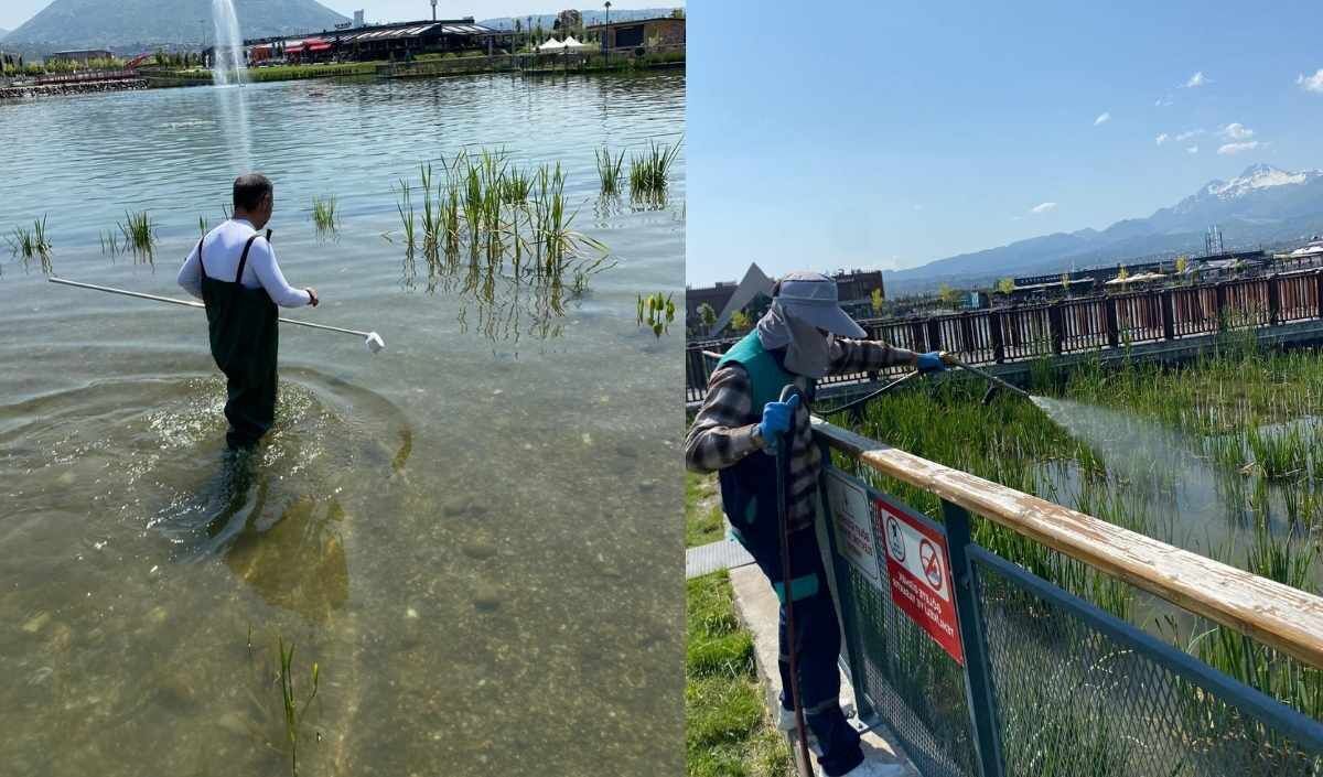 Kene Ve Zararlılara Geçit Yok! Kayseri'de Yeşil Alarm Verildi (3)