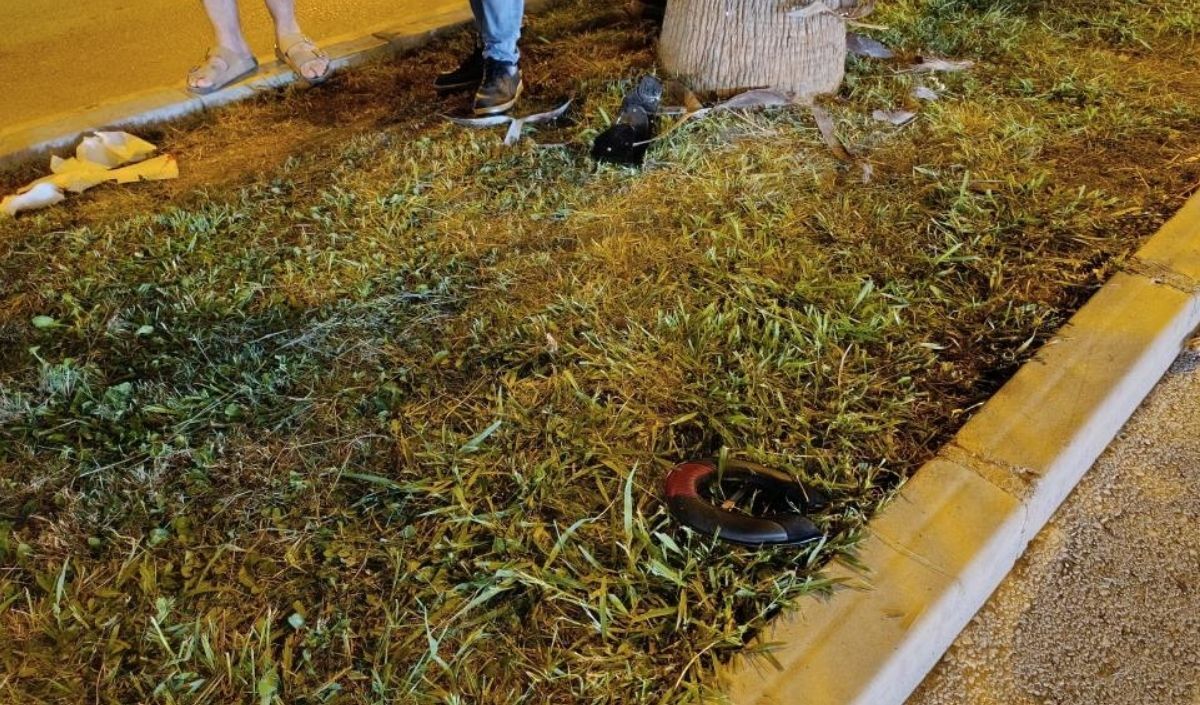 1 Ölü 1 Yaralı (2)