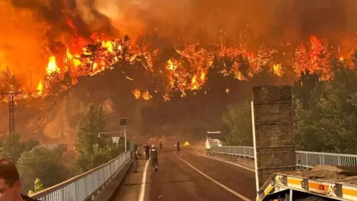 Incesu Yangın Uyarı (2)