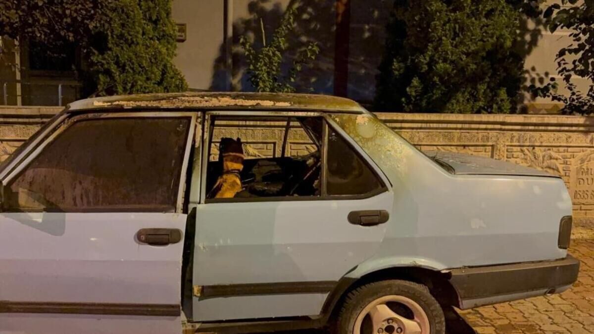 otomobil yangını
