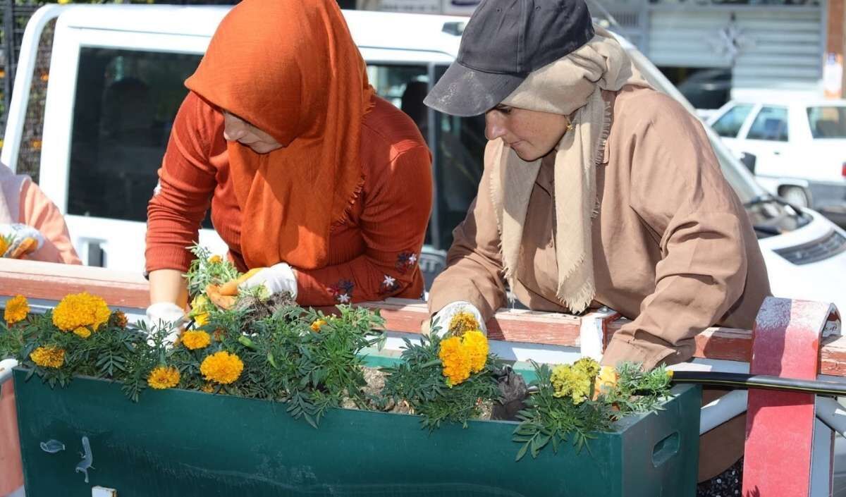 kocaçay