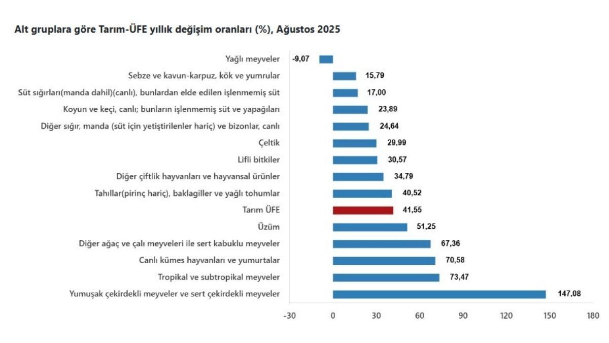 tüik