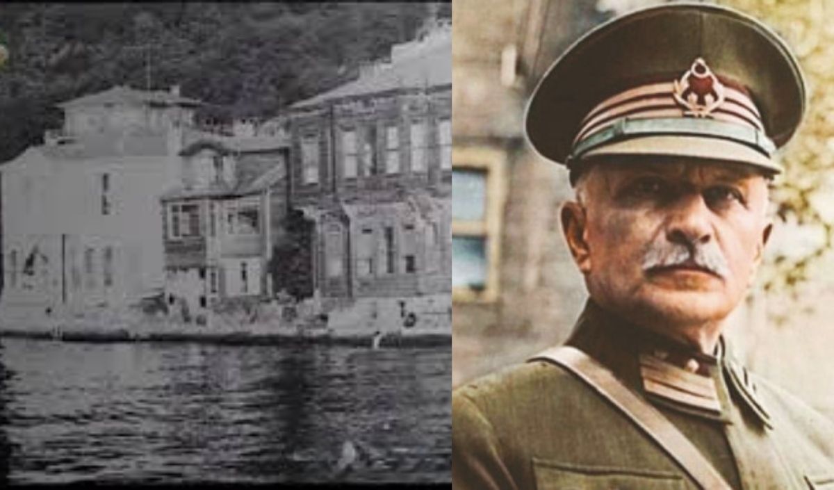çöl kaplanı