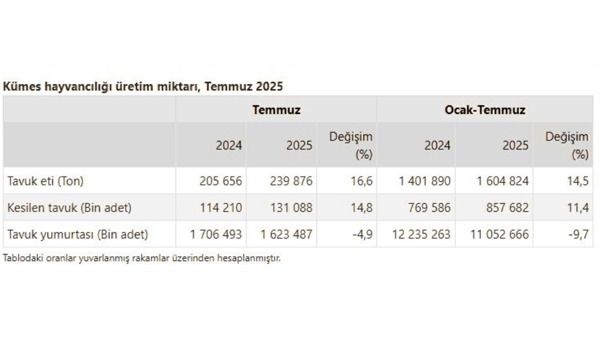 Tavuk Eti Üretimi Temmuz’da %16,6 Arttı (2)