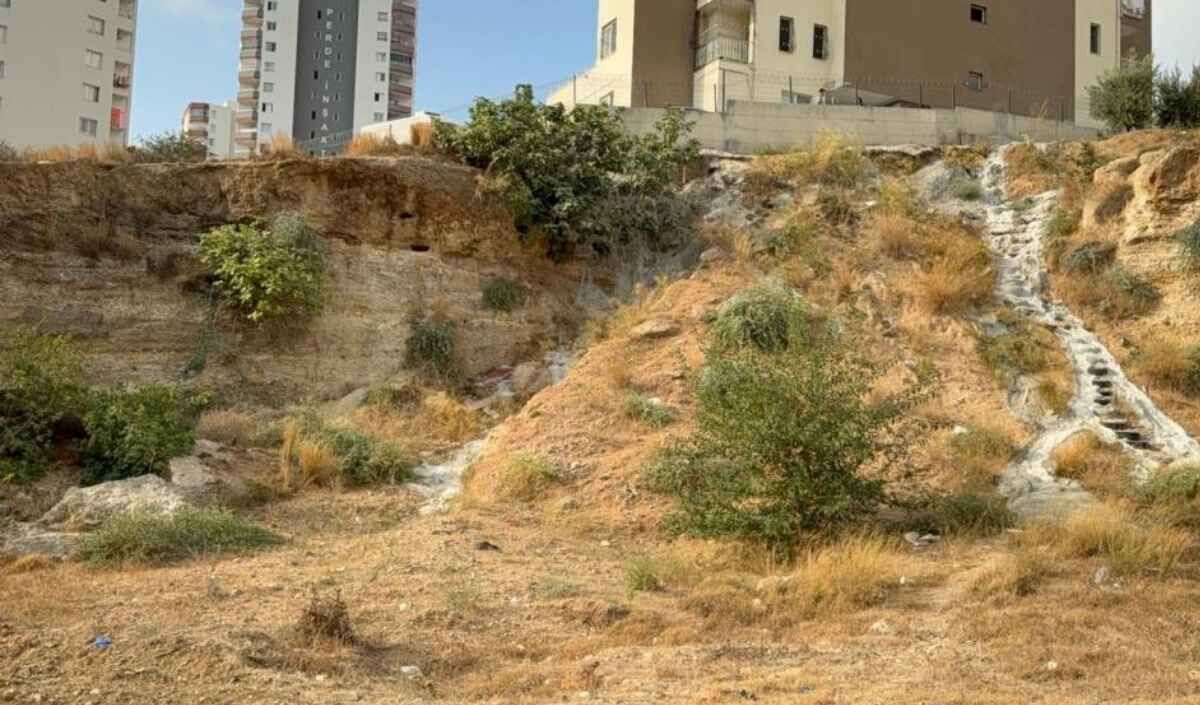 Yol Kenarında Ölü Bulundu (1)