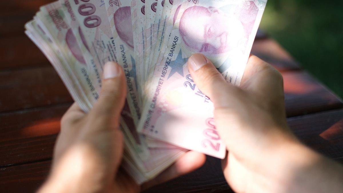 Devlet Desteği (1)