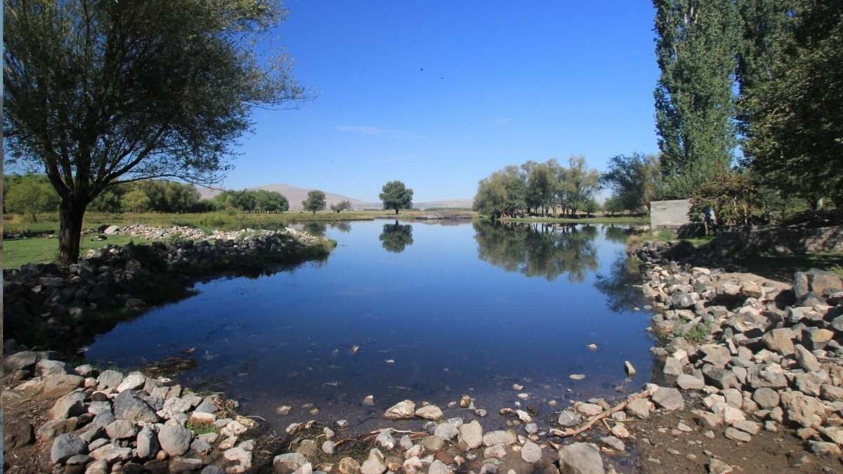 Hürmetçi Sazlığı (2)