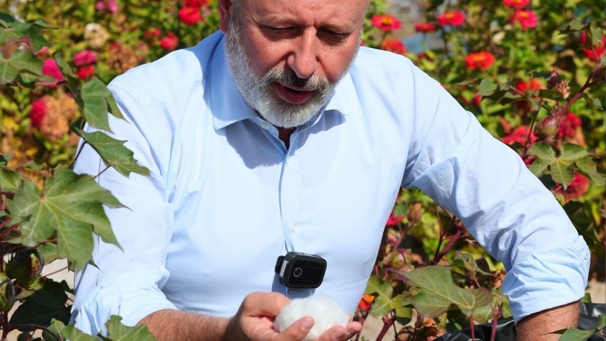 Kayseri’de Pamuk Üretimi Başladı