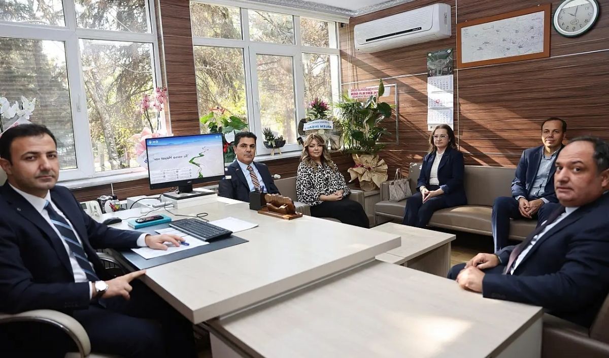 DSİ