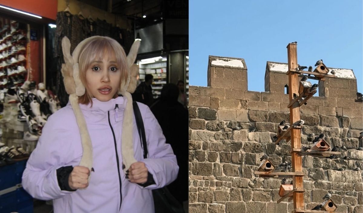 selinay yalçın