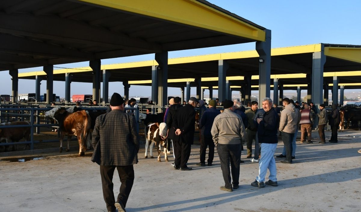Kayseri Ticaret Borsası Canlı Hayvan Borsası (1)