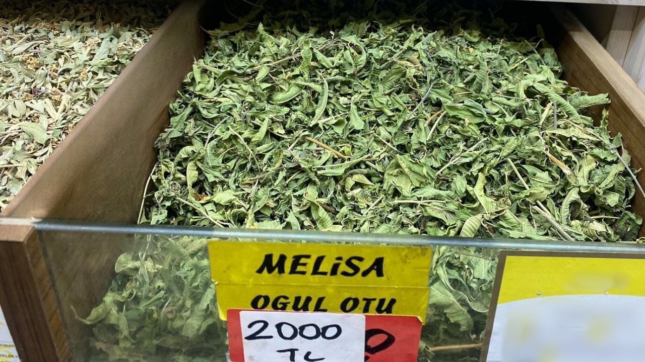 Melisa Çayı (1)