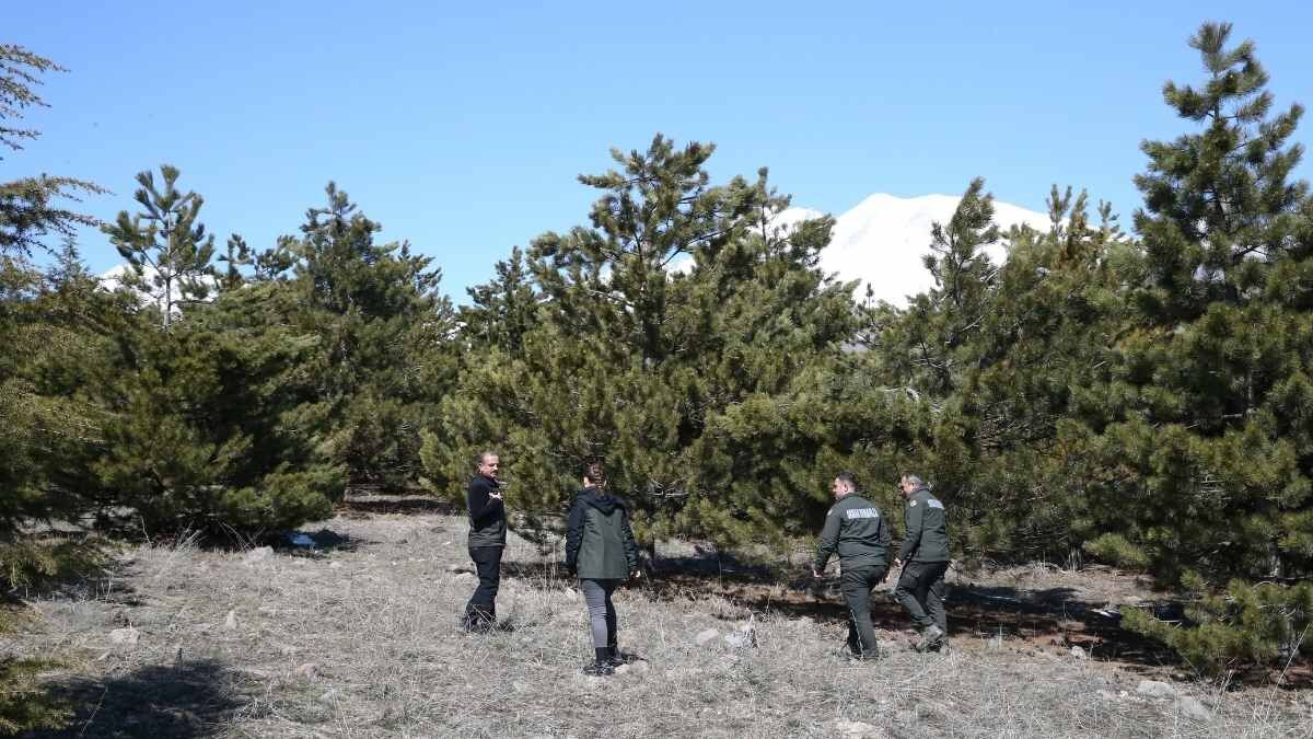Erciyes Yeşillere Büründü 15 Yılda 7 Milyon Fidan Toprakla Buluştu (1)