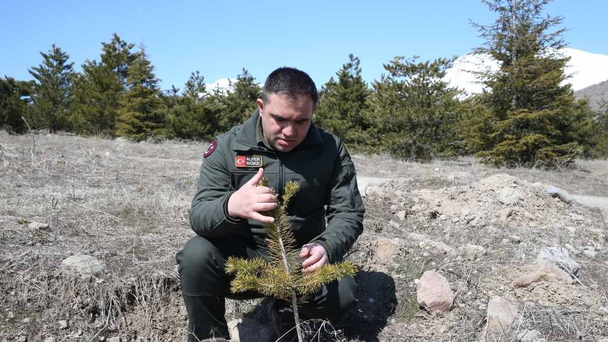 Erciyes Yeşillere Büründü 15 Yılda 7 Milyon Fidan Toprakla Buluştu (4)