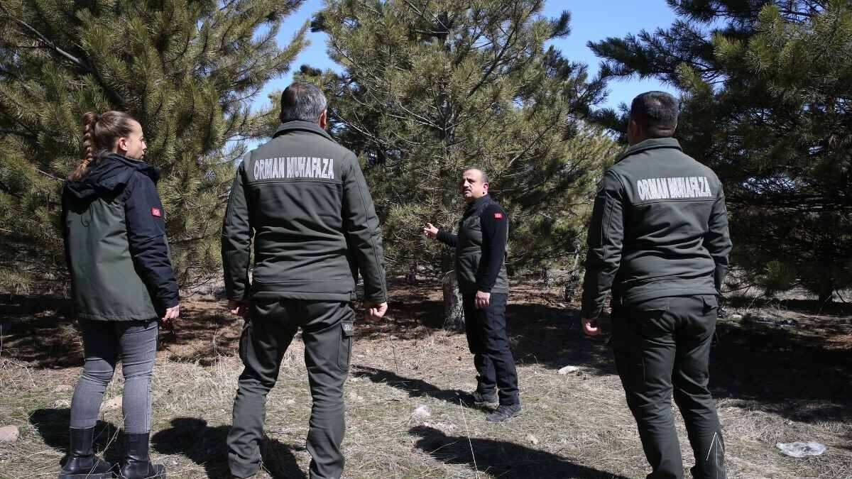 Erciyes Yeşillere Büründü 15 Yılda 7 Milyon Fidan Toprakla Buluştu (6)