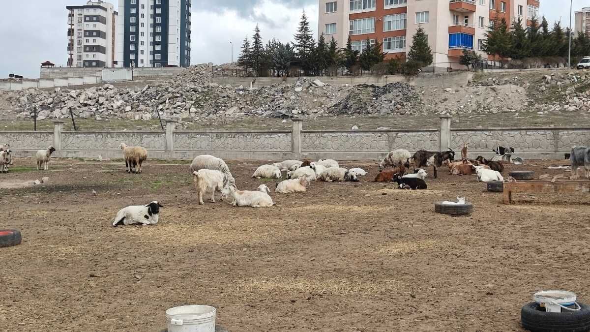 Kayseri Ahır Saldırı (5)