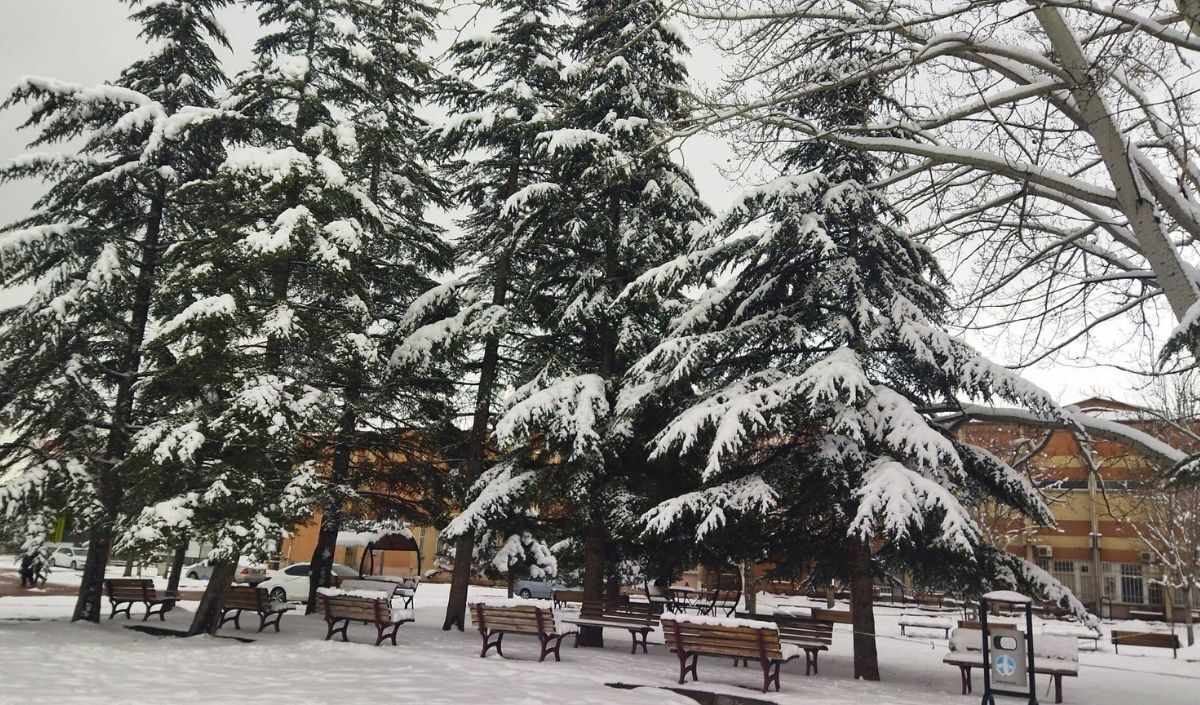 Kayseri Mart Ayını Geride Bıraktı! Hava Şartları Son Hafta Da Nasıl Olacak (2)