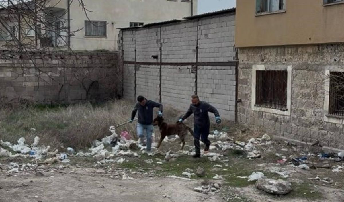 Köpek Çocuğa Saldırdı (1)