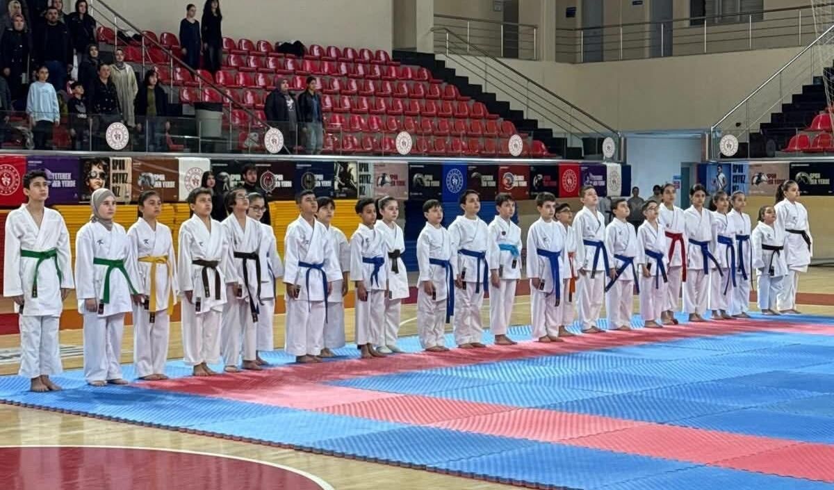 Taekwondo (2)