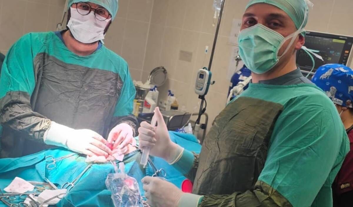Tarçın Isimli Köpek 140 Taş Çıktı (4)