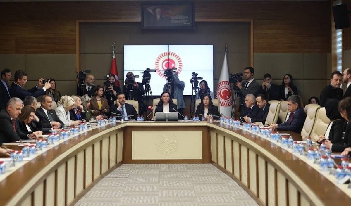 Ayşe Böhürler Suça Sürüklenen Çocuk (3)