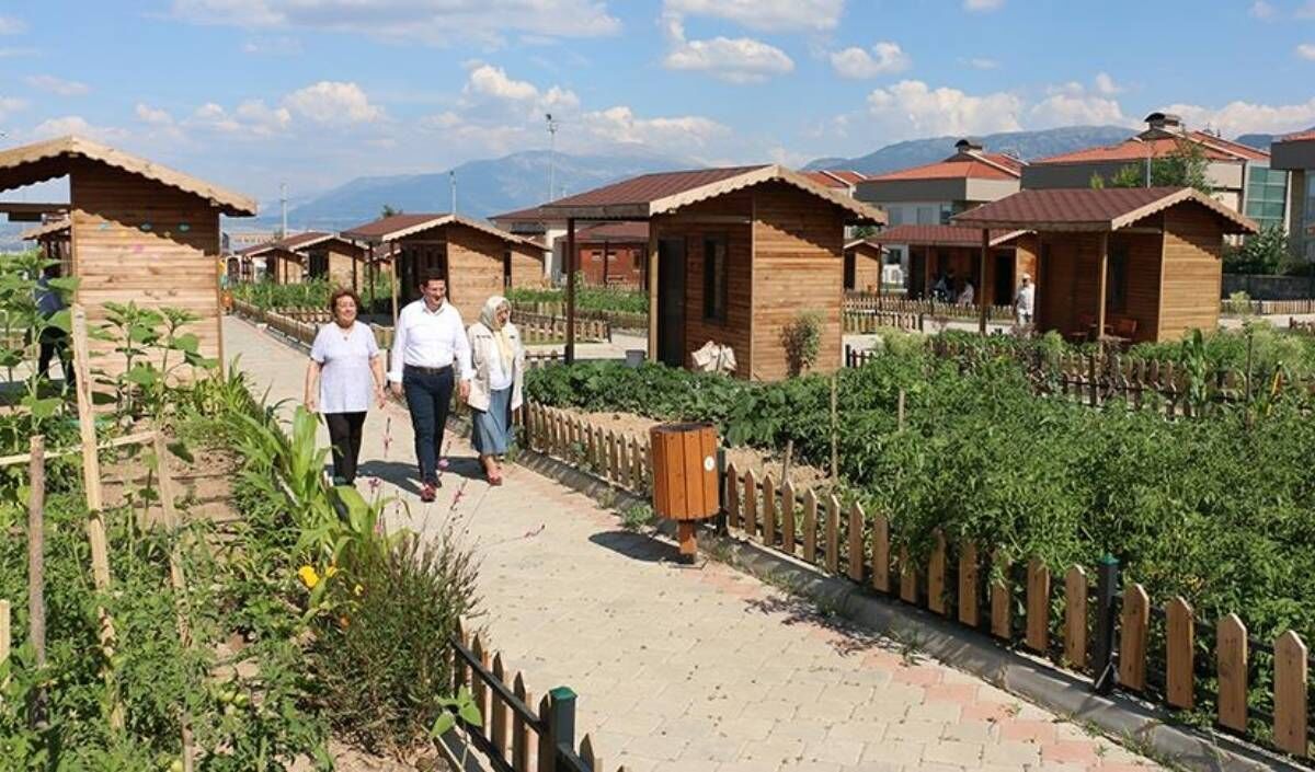 Hobi Bahçesi (3)-1