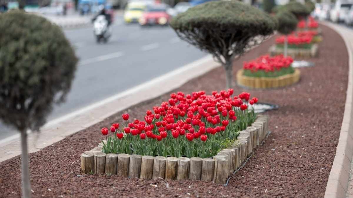 Kayseri̇ İlkbahar (4)