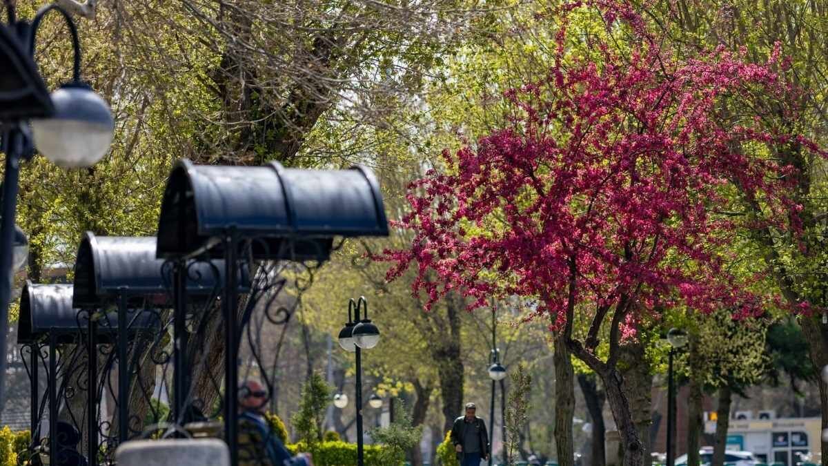 Kayseri̇ İlkbahar (6)