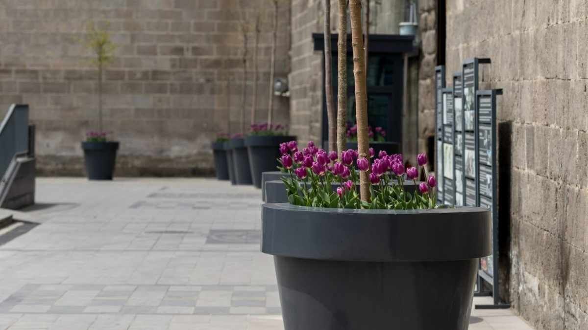 Kayseri̇ İlkbahar (7)