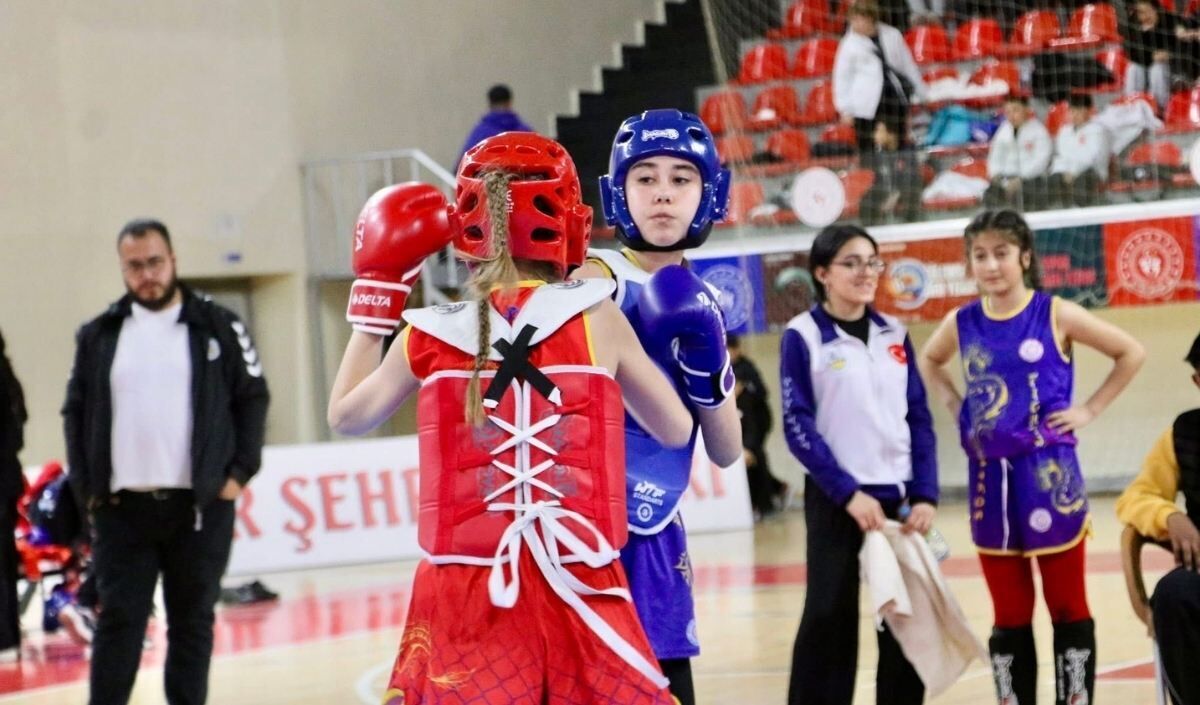 Wushu (2)