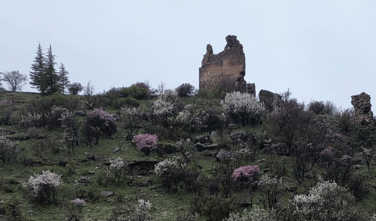 Yahyalı-1
